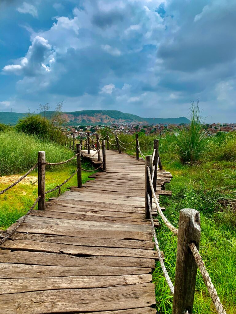 1365d220 256f 49f3 aa2d 6c341721445d