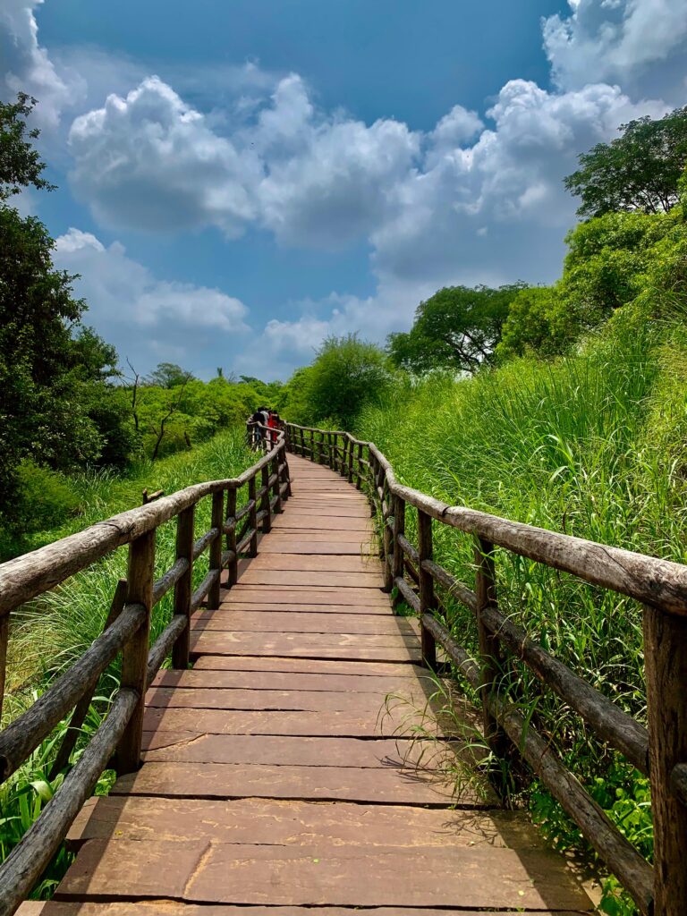 345c8ac7 5443 4b30 9673 f83383d9a99d