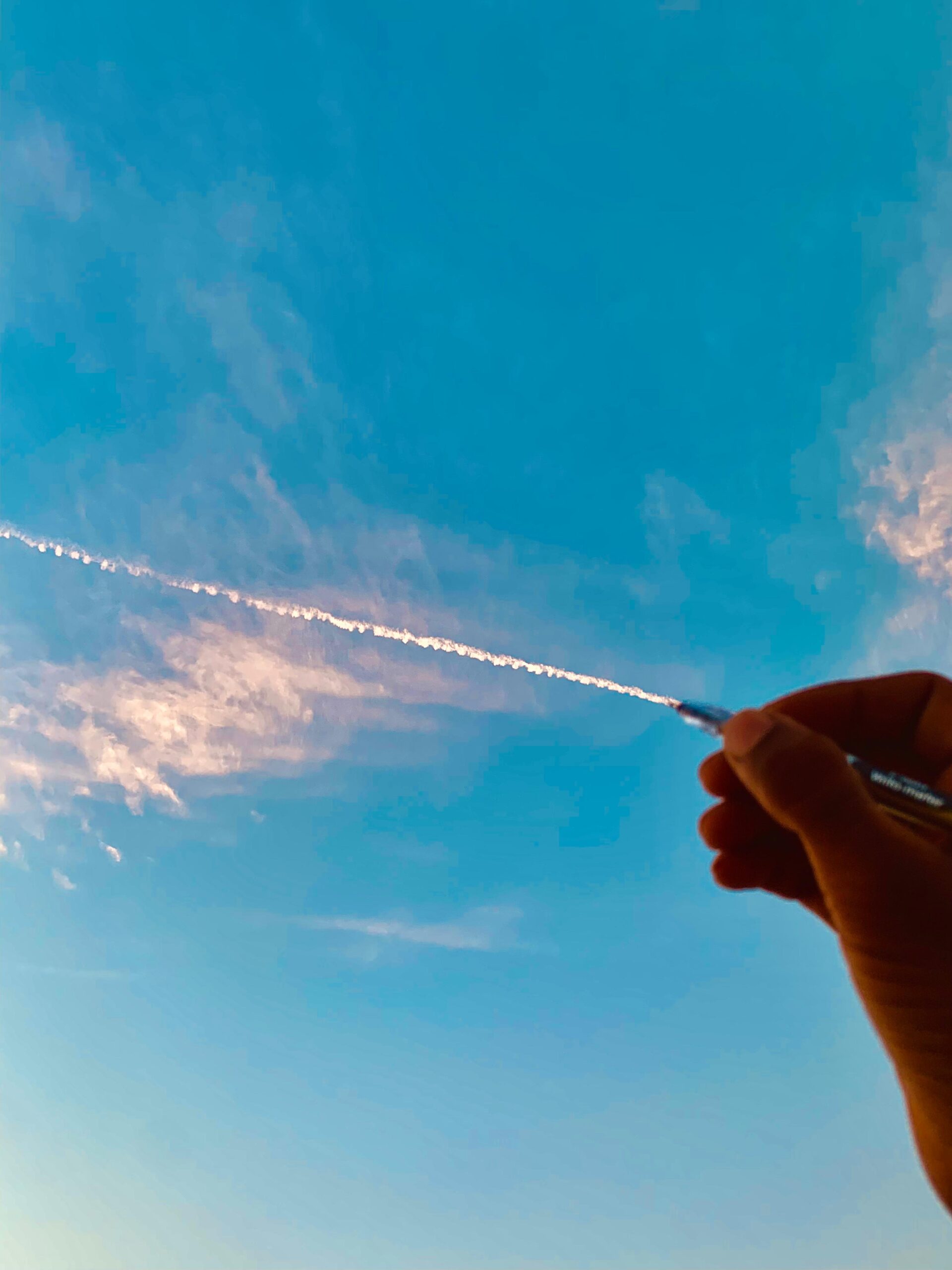 3d43b4a1 0a37 4d2e A395 Ec8ea259dd63 Scaled