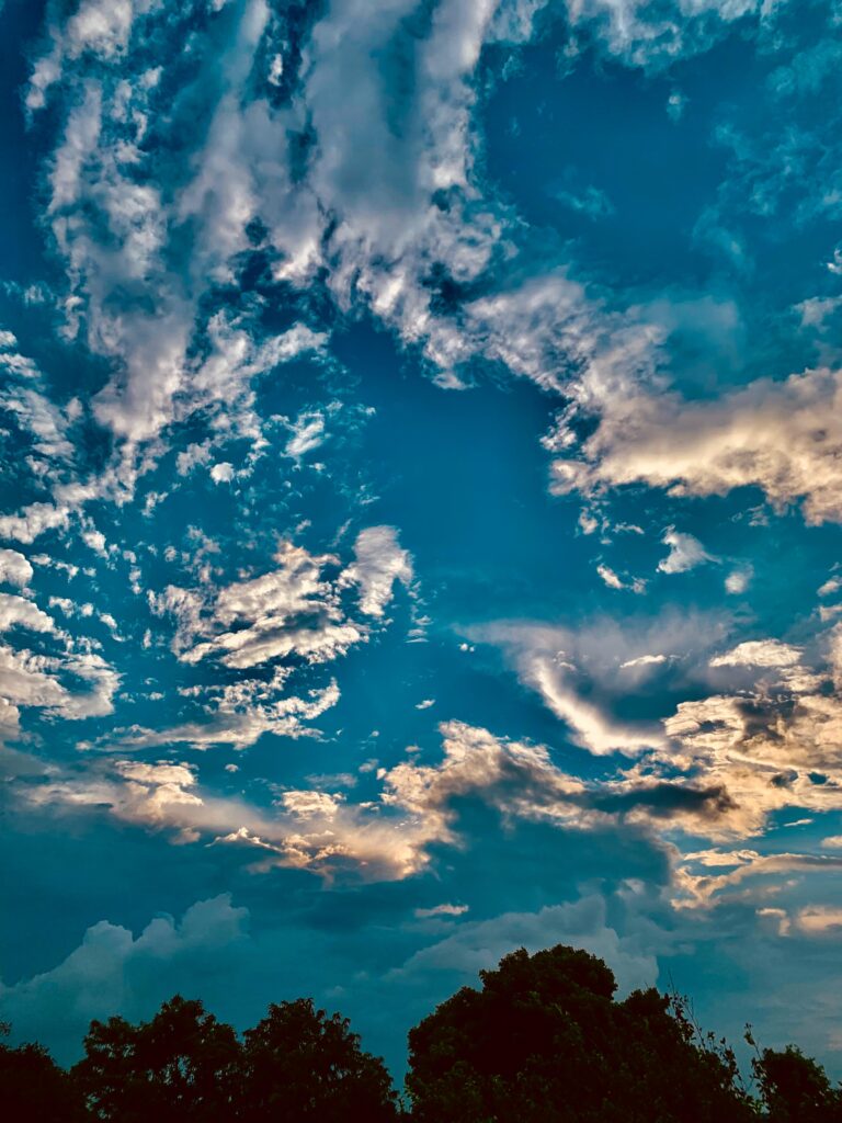 6f546d06 6ef2 41b8 a1c6 6e8090123420