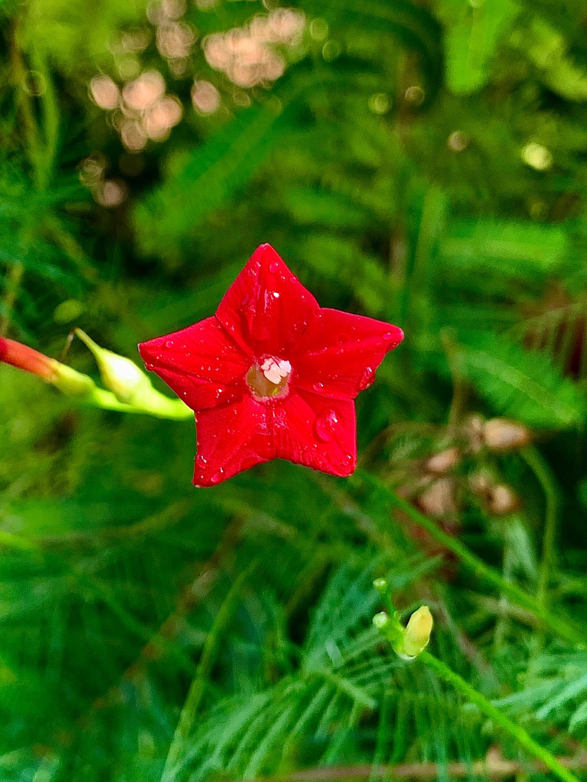 8d7f730e 0cb2 4831 A9b1 Ac325386f1d2 Scaled