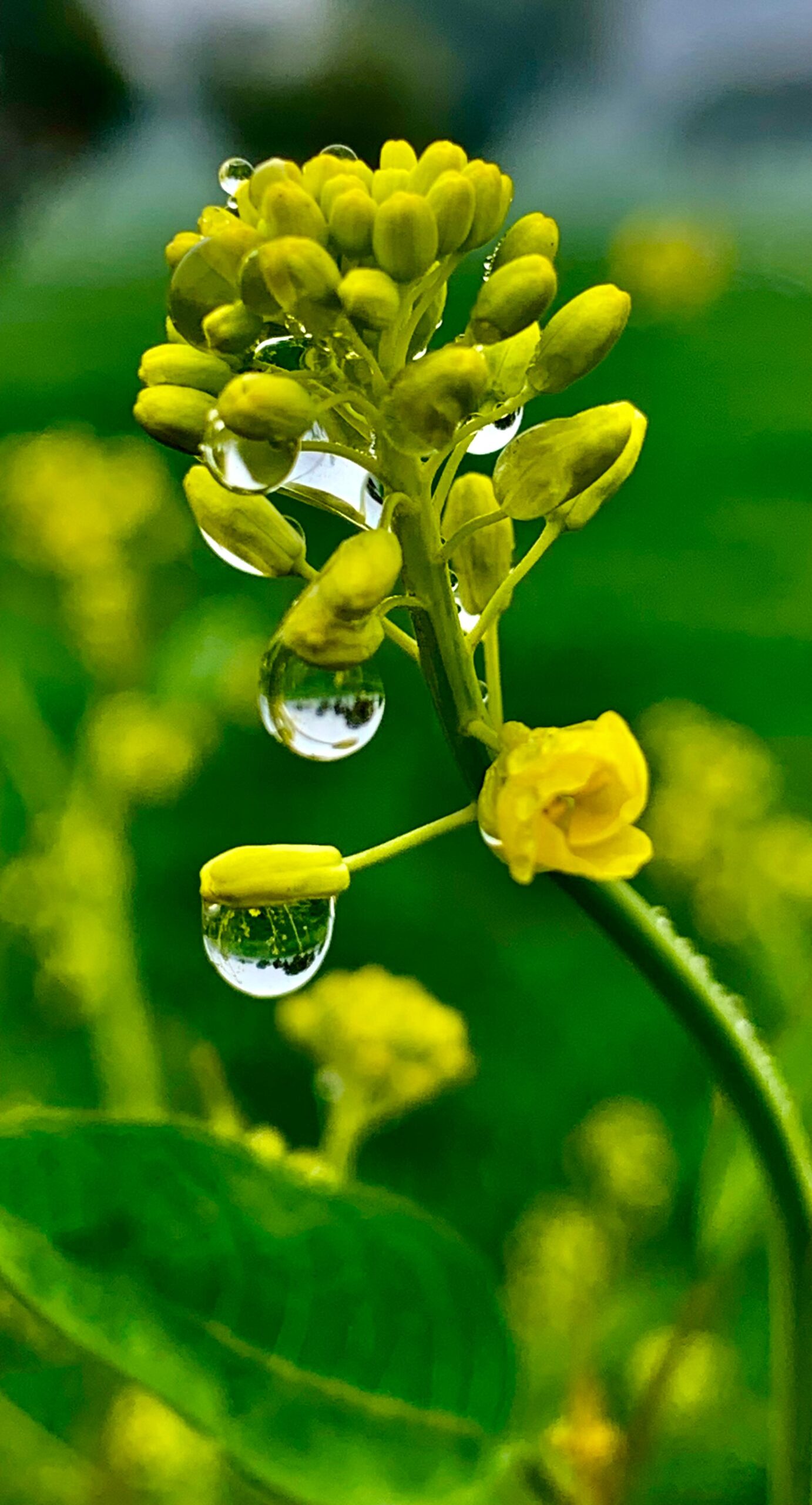 8fa1d1ce 360b 4fa1 a86c fa52017a0bac