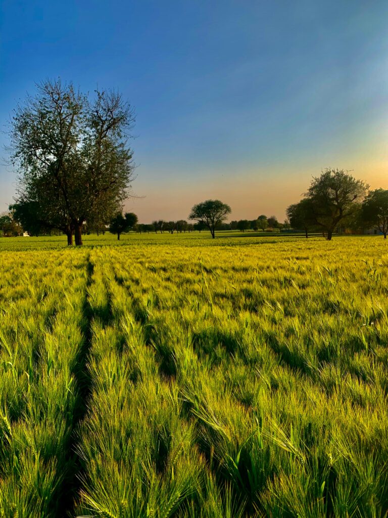 e6f11238 f81e 4bd5 9282 b1ad21f26303